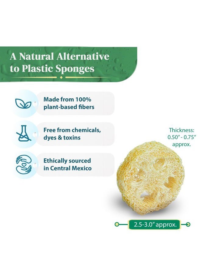 LooLife 100% Natural Loofah Slices for Soap Making (20 Pack) - Luffa Slices Cuts - Loofah Kit - Organic Soap Making Products - Loofah Sponge Natural - Loofah Soap - Hamster Chew Toys - Image 2